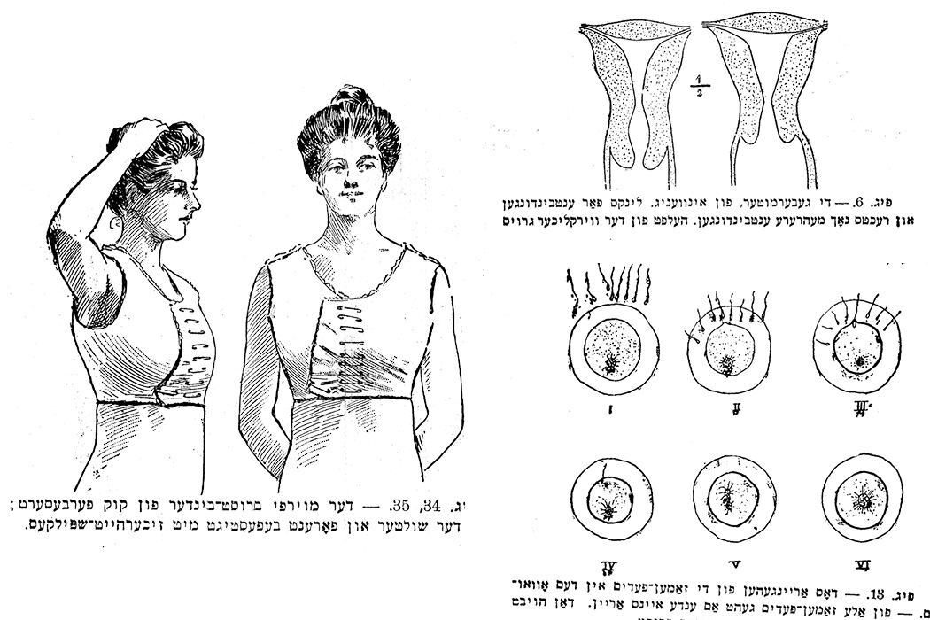 <p>Illustration from Benzion Liber’s Yiddish sex guide <em>Geshlekhts Lebn</em> (Sexual Life), originally published in 1918. <a href="https://daily.jstor.org/the-x-rated-yiddish-sex-guide/">via</a></p>