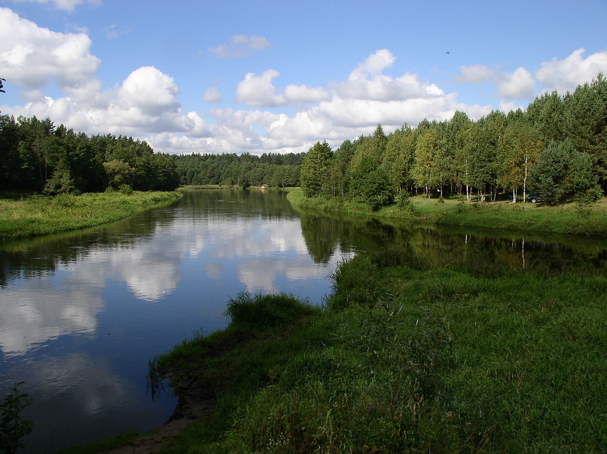 <p>Junction of Viliya and Narach Rivers, Belarus</p>