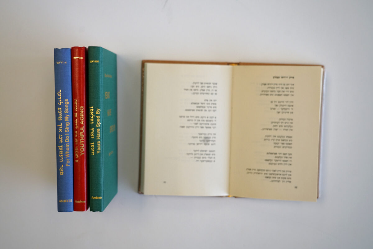 <p>Books by Chaya Rochel Andres, photo courtesy of Rachel Glazer.</p>