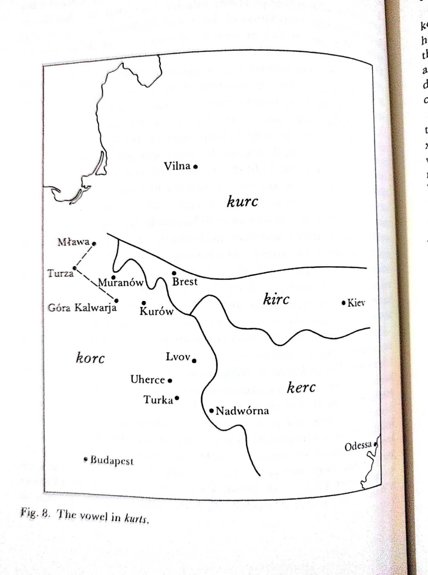 <p>The vowel in <em>kurts</em>.  Max Weinreich, <em>The History of the Yiddish Language </em>(Yale UP, 2008)</p>