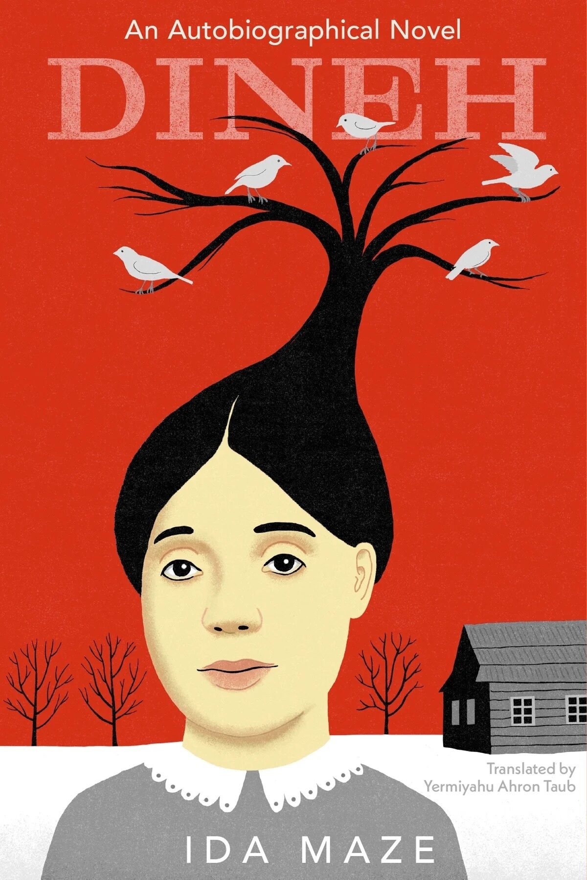 <p><em>Dineh: An Autobiographical Novel </em>by Ida Maze.</p>